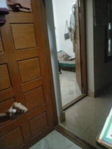 Thrissur Independent House: New 2025 Build in Madavakkara