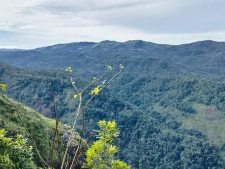 Expansive 150-Cent Commercial Plot in Thopramkudy, Idukki – Resort Development Potential