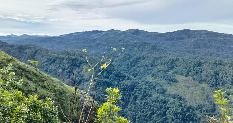 Expansive 150-Cent Commercial Plot in Thopramkudy, Idukki – Resort Development Potential