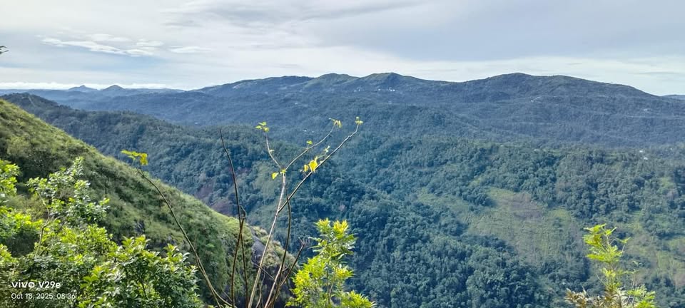 Expansive 150-Cent Commercial Plot in Thopramkudy, Idukki – Resort Development Potential
