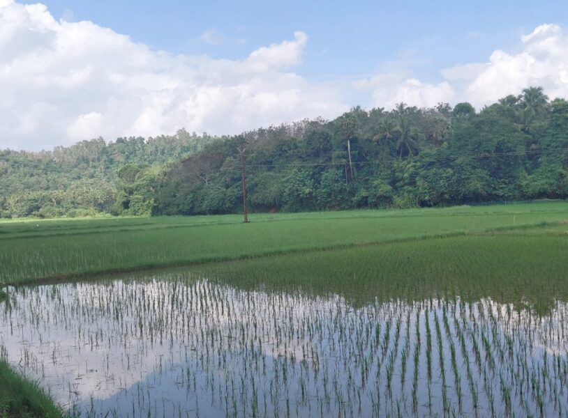 Thrissur Residential Plot | 50 Cents Near Mulamkunnathukavu Junction