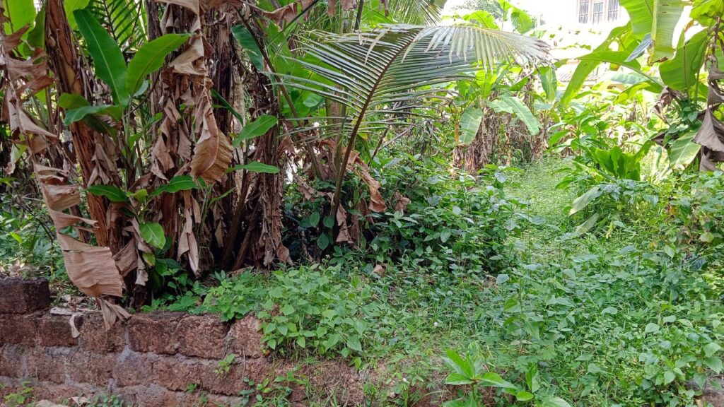 Prime 5 Cent Residential Plot – Vellimadukunnu, Kozhikode – Junction Proximity