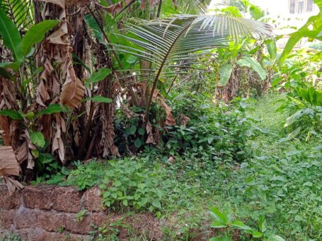 Prime 5 Cent Residential Plot – Vellimadukunnu, Kozhikode – Junction Proximity