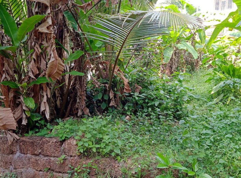 Prime 5 Cent Residential Plot – Vellimadukunnu, Kozhikode – Junction Proximity