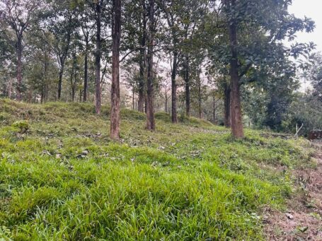 Prime 33 Cent Residential Plot, Sulthanbethery, Wayanad