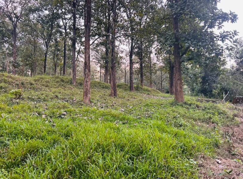 Prime 33 Cent Residential Plot, Sulthanbethery, Wayanad