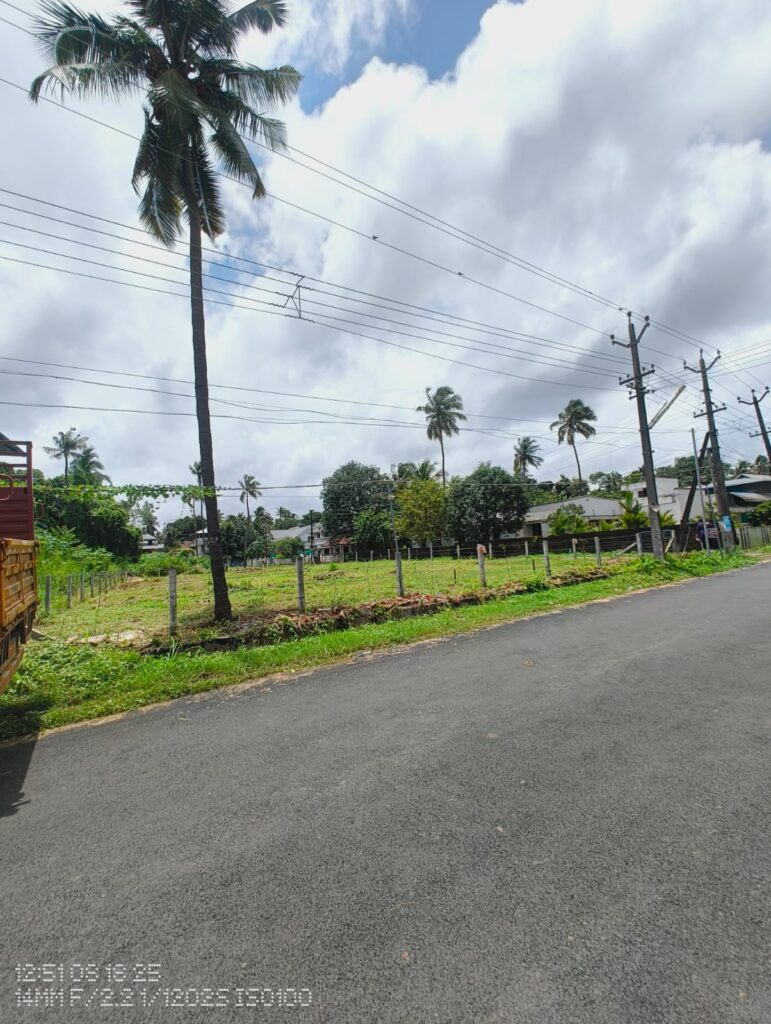 Prime 16 Cent Residential Plot in Olari, Thrissur | Road Access
