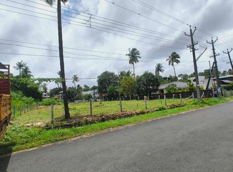 Prime 16 Cent Residential Plot in Olari, Thrissur | Road Access