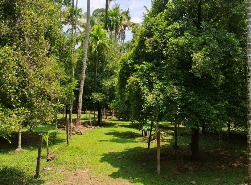 Residential Plot in Alagappanagar, Thrissur with Road Access