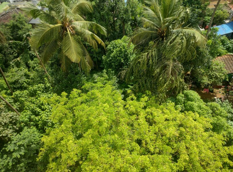 12 Cent Residential Plot, Mannuthy, Thrissur – Road Access & Junction Proximity