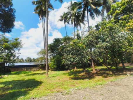 Prime 10 Cent Residential Plot | Krishnapuram, Thrissur | Road Access