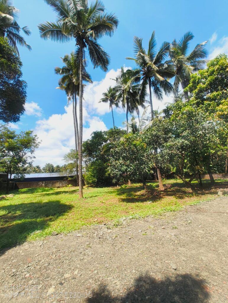 Prime 10 Cent Residential Plot | Krishnapuram, Thrissur | Road Access