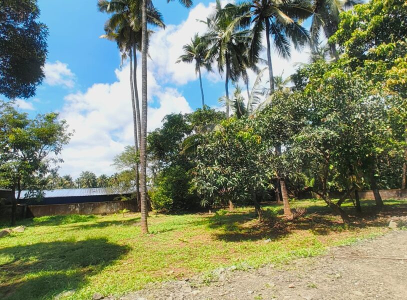 Prime 10 Cent Residential Plot | Krishnapuram, Thrissur | Road Access