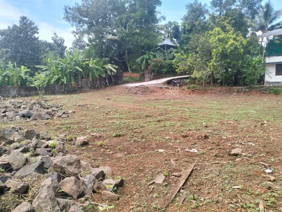 Residential Plot for Sale in Pukkattupady, Edathala | 27.5 Cents with Road Access