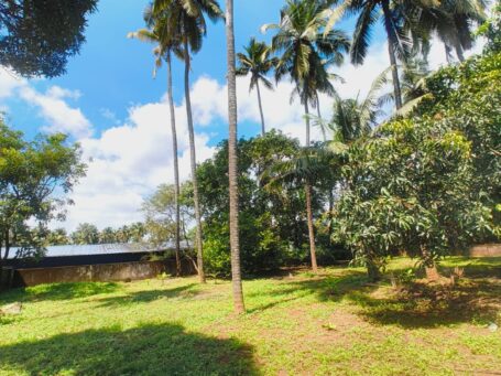 Prime 20-Cent Residential Plot, Kalathode, Thrissur Corporation