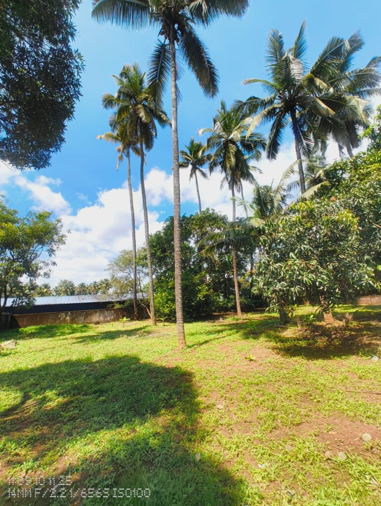 Prime 20-Cent Residential Plot, Kalathode, Thrissur Corporation