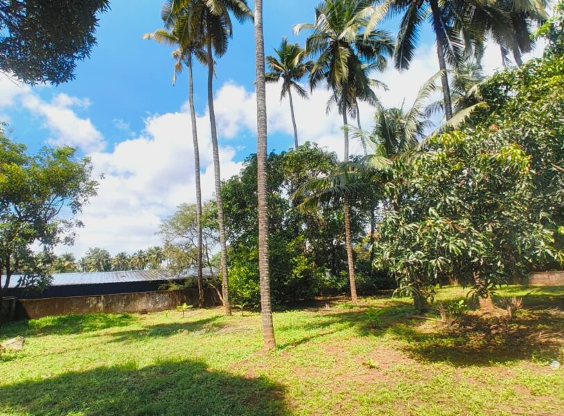 Prime 20-Cent Residential Plot, Kalathode, Thrissur Corporation