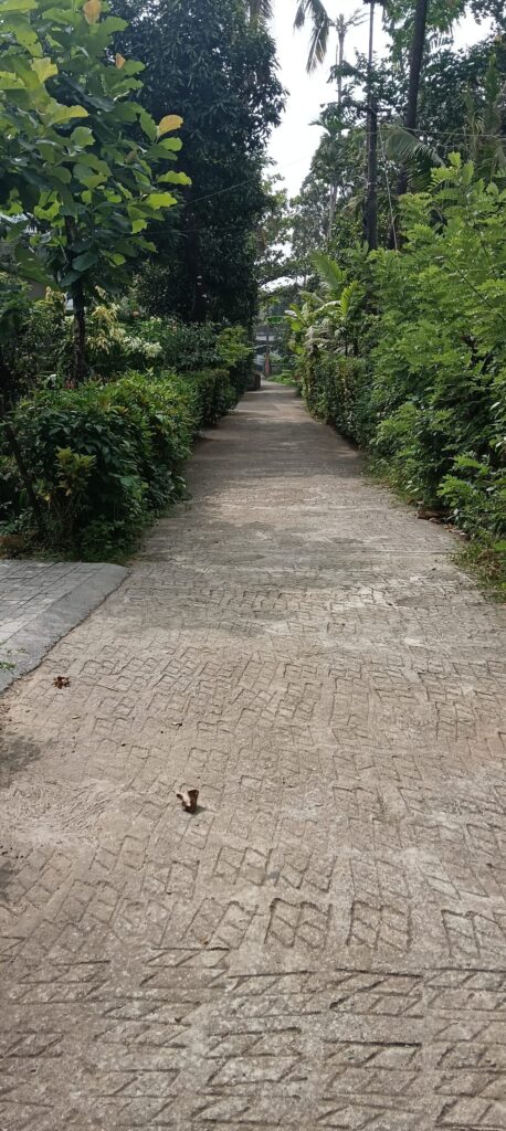 Prime Agricultural Land Kuruchikkara, Thrissur | Junction Proximity & Bus Route