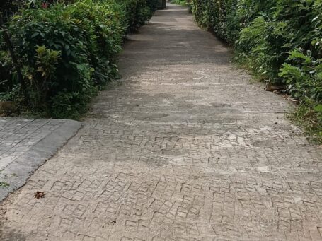 Kuruchikkara Plot with Excellent Access – Owner Listed