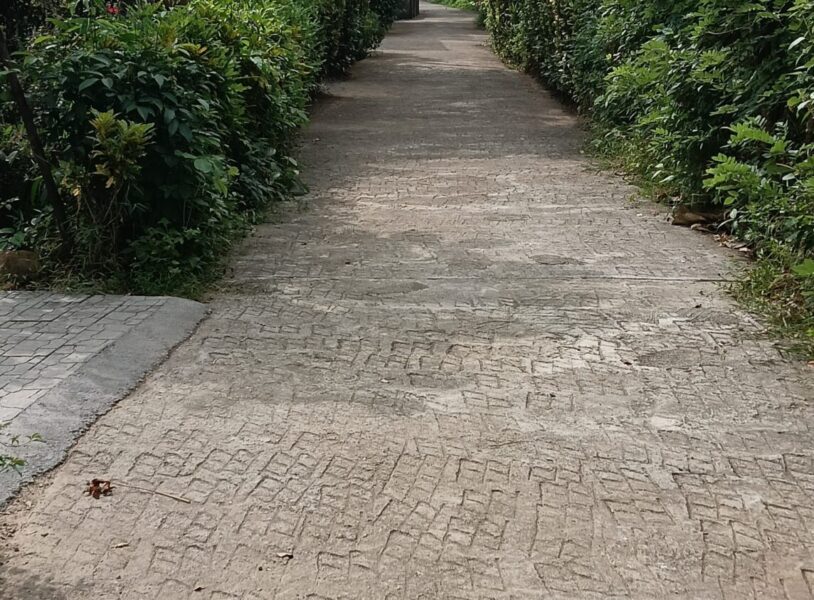 Kuruchikkara Plot with Excellent Access – Owner Listed