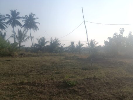 Expansive Residential Plot in Naganahalli, Mysuru with Road Access