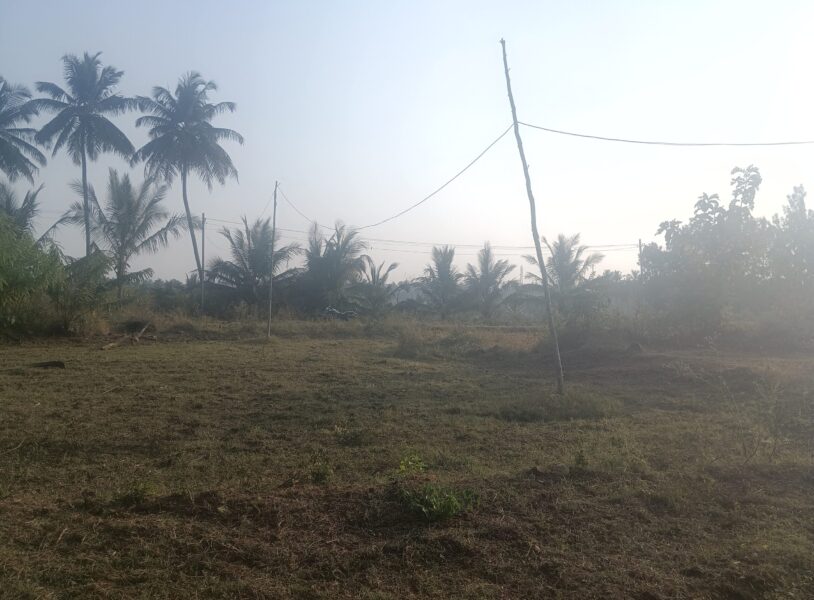 Expansive Residential Plot in Naganahalli, Mysuru with Road Access