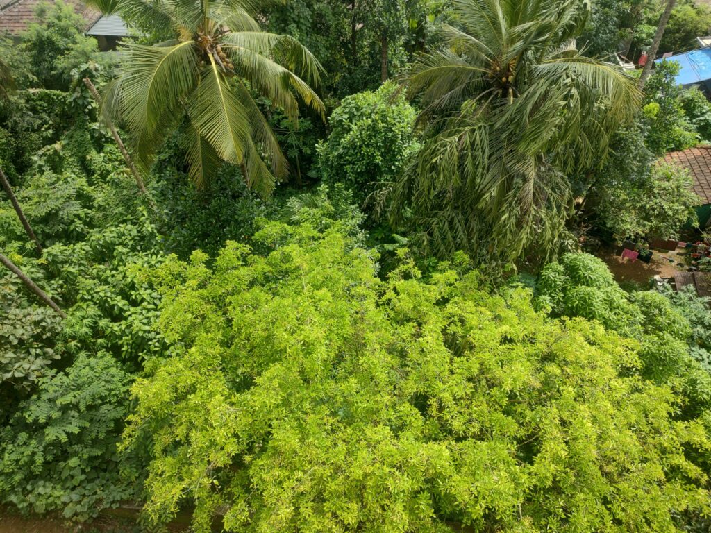 Saravanampatti Residential Plot 175m from Junction