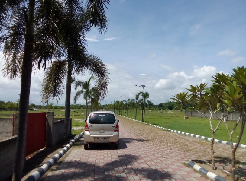 5 Cent Residential Plot 50m from Siliguri Junction, Darjeeling