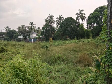 Thrissur City Residential Plot – Prime 13 Cents Near Town