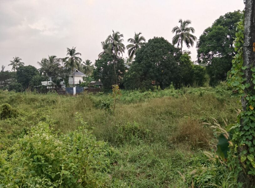Thrissur City Residential Plot – Prime 13 Cents Near Town