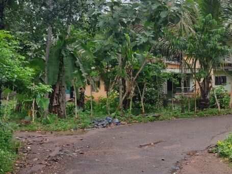 10 Cent Residential Plot, North Mynagappally, Kunnathur East – West Facing