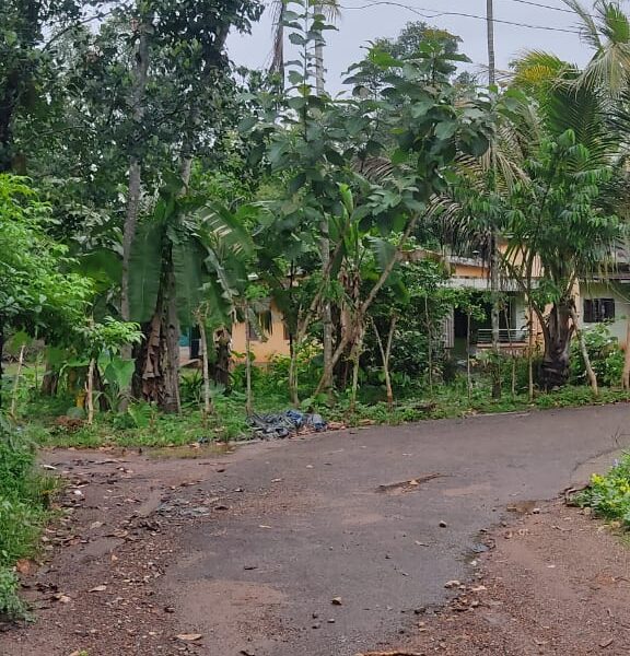 10 Cent Residential Plot, North Mynagappally, Kunnathur East – West Facing