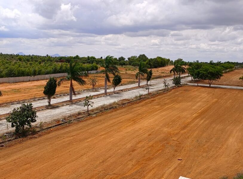 Expansive Vaniganahalli Residential Plot: 2 Million Sq-ft with Road & Bus Access