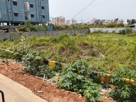 Prime Nellore Bazar Residential Plot | 2340 Sq-ft | Excellent Connectivity